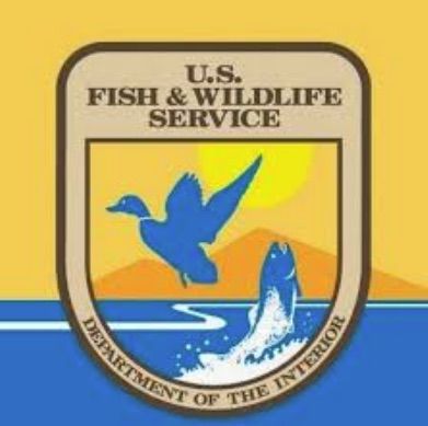Hopi leery of wind farm's impact -USFW logo